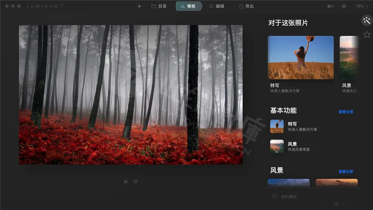 Skylum Luminar AI 界面