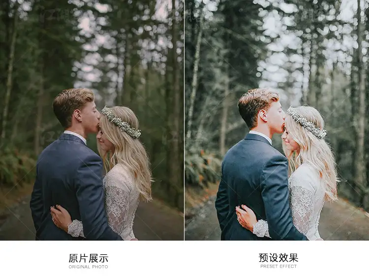 森系胶片调色LR预设滤镜PR/PS/FCPX/达芬奇/AE/Lut素材手机版电脑