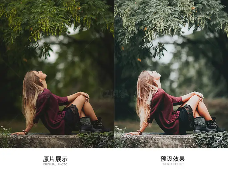 森系胶片调色LR预设滤镜PR/PS/FCPX/达芬奇/AE/Lut素材手机版电脑