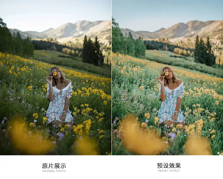 胶片网红风调色预设旅拍街拍Lightroom滤镜人像LR/PS/PR/AE