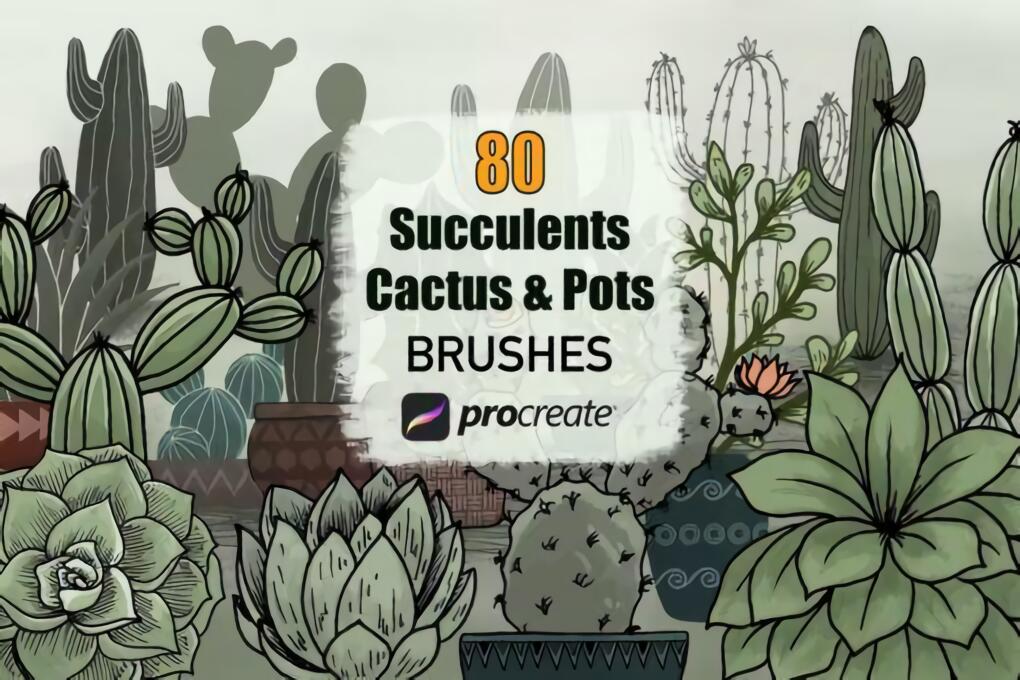仙人掌多肉植物和花盆Procreate笔刷 预览图1
