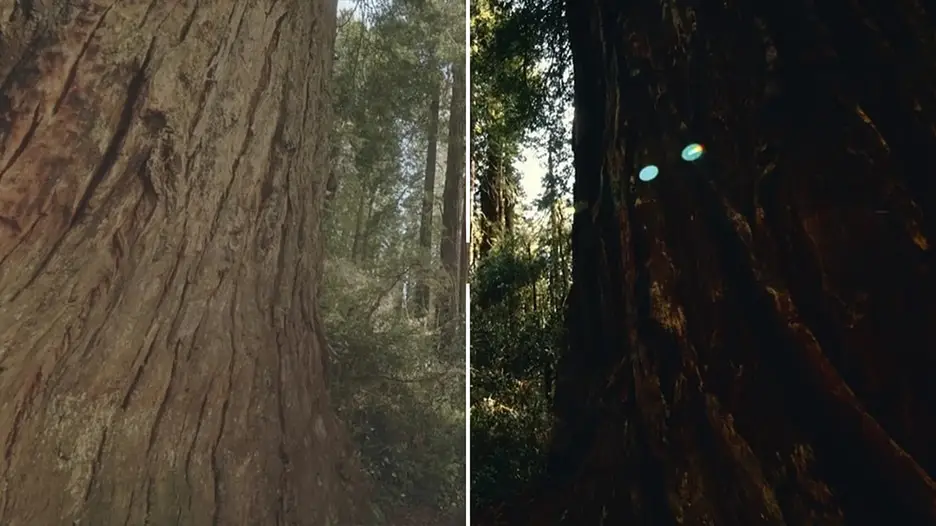 永恒复古经典胶片色彩模拟摄影调色LUT及Lightroom预设
