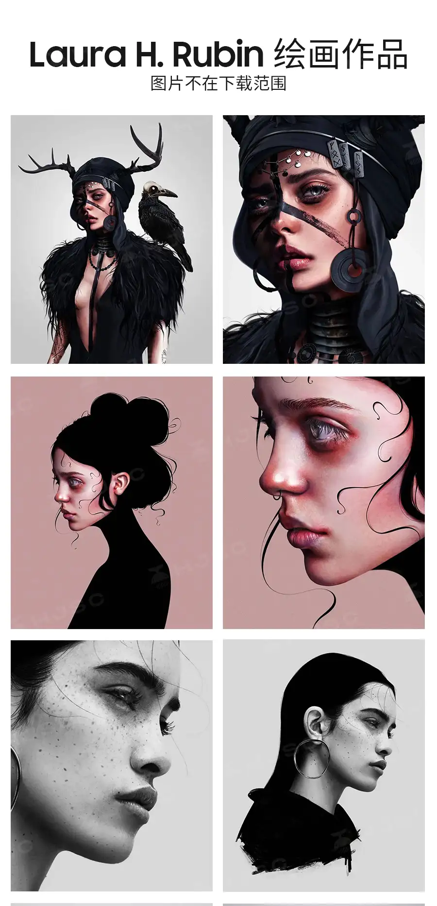 Laura H. Rubin全套人像皮肤头发色卡绘画procreate笔刷