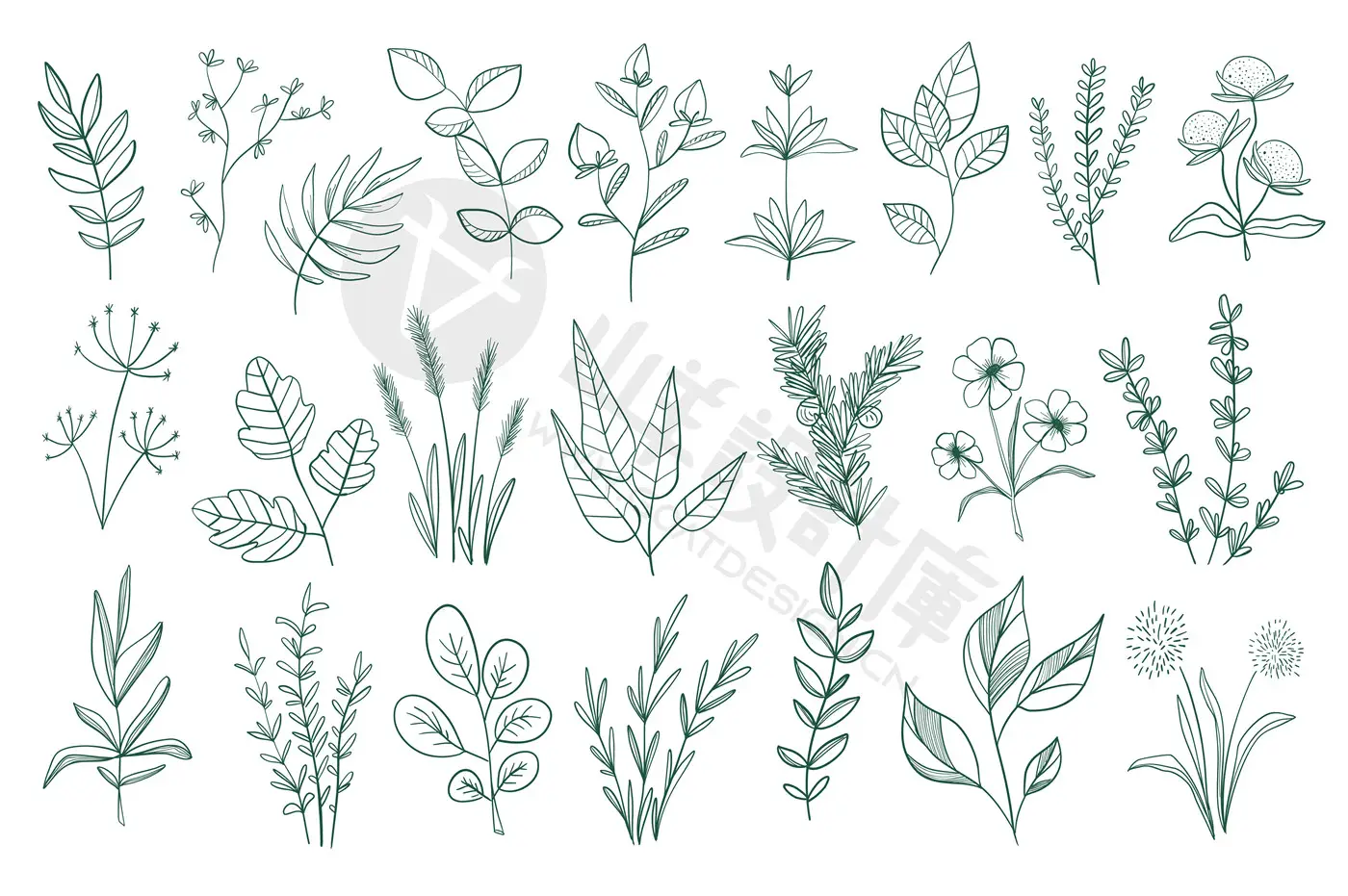 手绘花卉植物叶子花朵花边花纹线描线条线稿图案AI矢量PNG素材PS