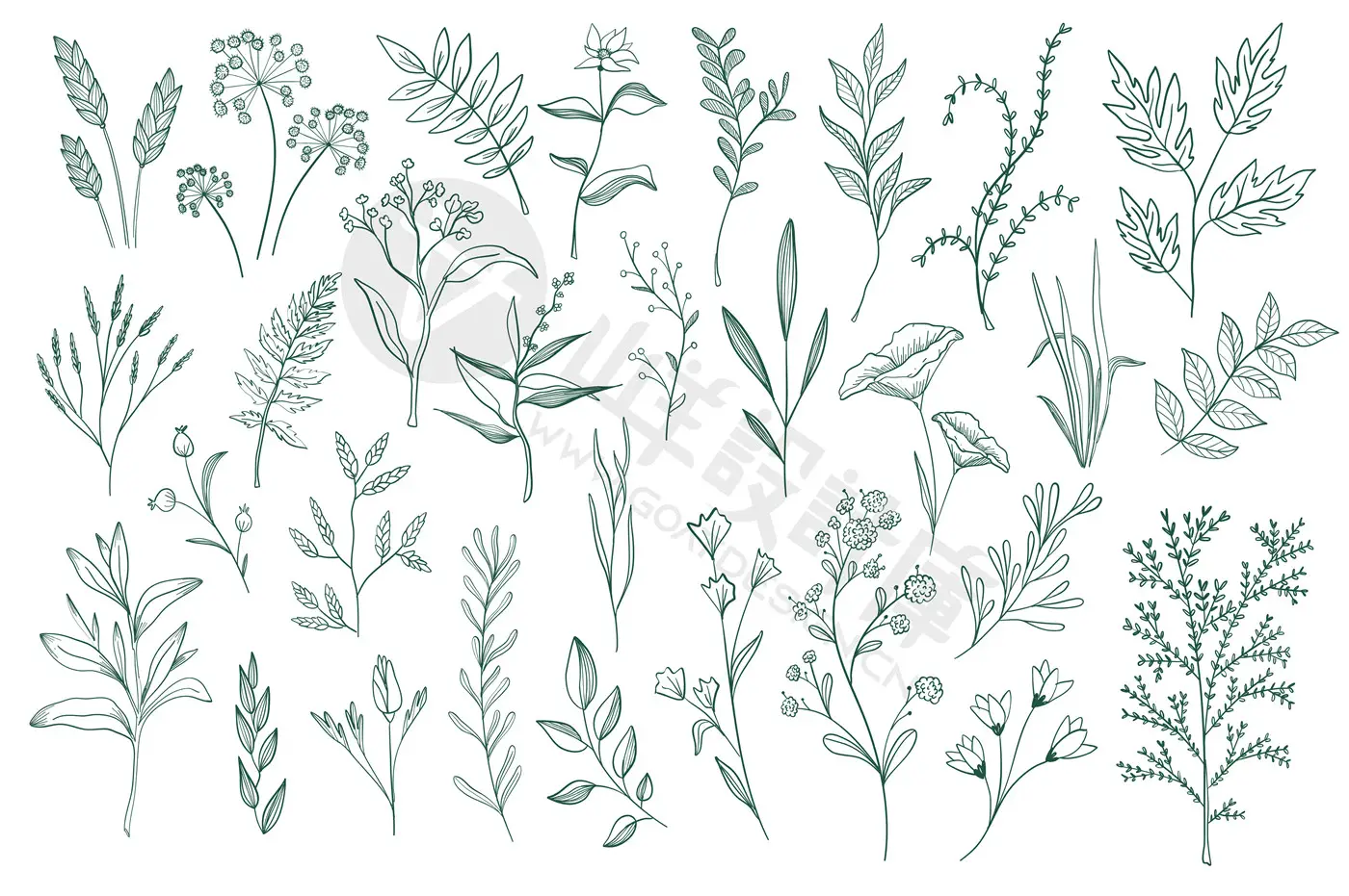 手绘花卉植物叶子花朵花边花纹线描线条线稿图案AI矢量PNG素材PS