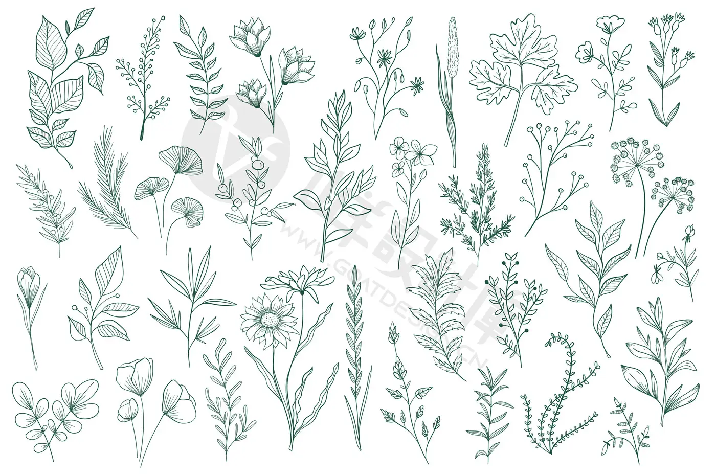 手绘花卉植物叶子花朵花边花纹线描线条线稿图案AI矢量PNG素材PS