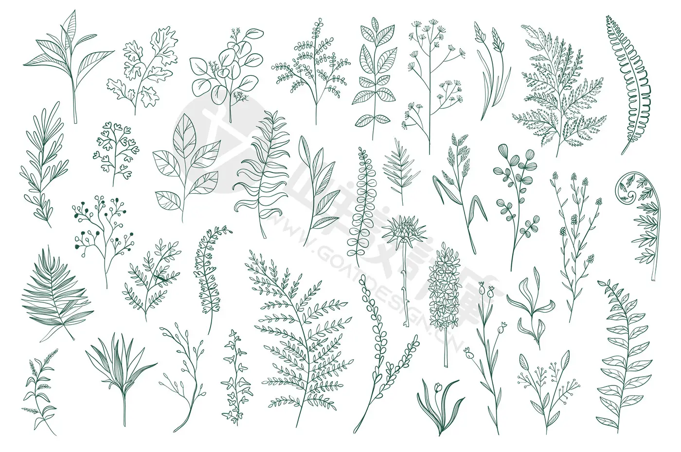 手绘花卉植物叶子花朵花边花纹线描线条线稿图案AI矢量PNG素材PS