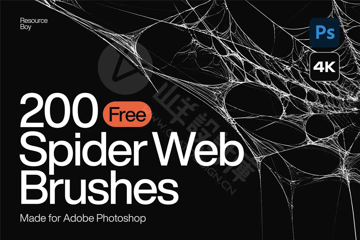 200 个蜘蛛网 Photoshop 画笔