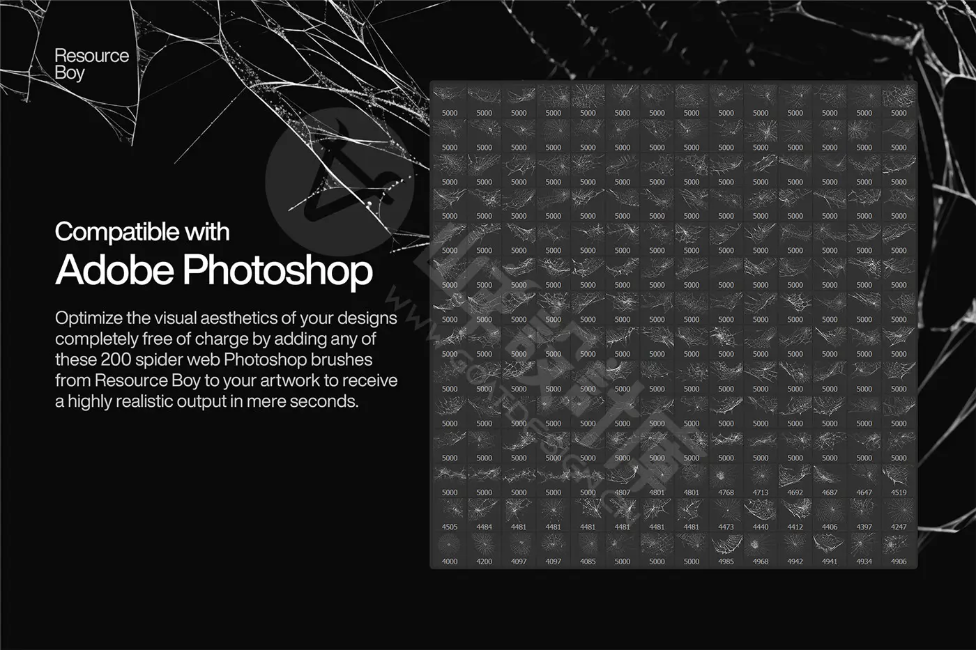 200 个蜘蛛网 Photoshop 画笔