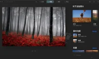 AI人像修图瘦身美白 Skylum Luminar AI 1.5.5 中文破解版