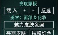 人像D&B中性灰高低频磨皮PS扩展面板 RA Beauty Retouch 3.3中文汉化版