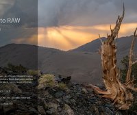专业摄影图像处理软件 ON1 Photo RAW MAX 2026.4.20 中文破解版