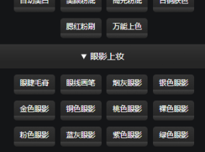 PS黑作坊 美妆大师（美颜润肤）加强版