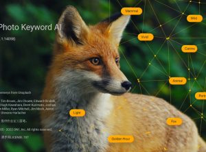 图片AI搜索管理 ON1 Photo Keyword AI 2023.5 17.5.1 中文破解版