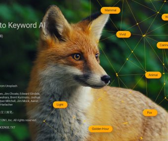 图片AI搜索管理 ON1 Photo Keyword AI 2023.5 17.5.1 中文破解版