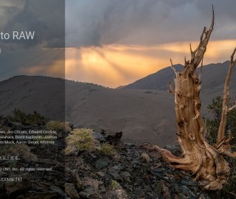 专业摄影图像处理软件 ON1 Photo RAW MAX 2026.4.20 中文破解版