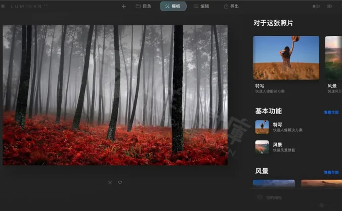AI人像修图瘦身美白 Skylum Luminar AI 1.5.5 中文破解版