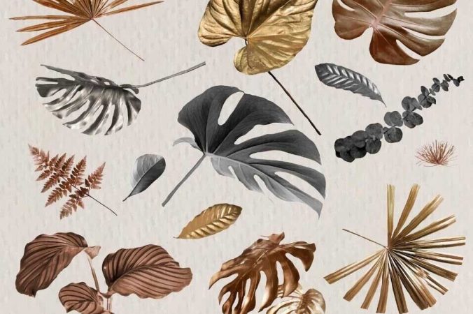 矢量水彩手绘室内植物叶插画