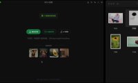 免费AI批量抠图大模型工具 鲜艺AI抠图