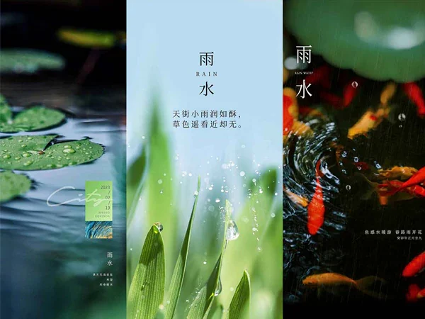 吊旗二十四节气雨水海报PSD模版