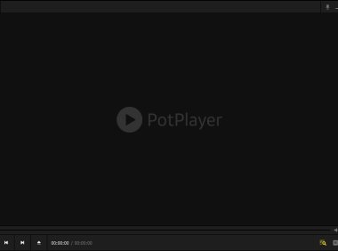 好用强大本地播放器 PotPlayer 1.7.22508 绿色中文版