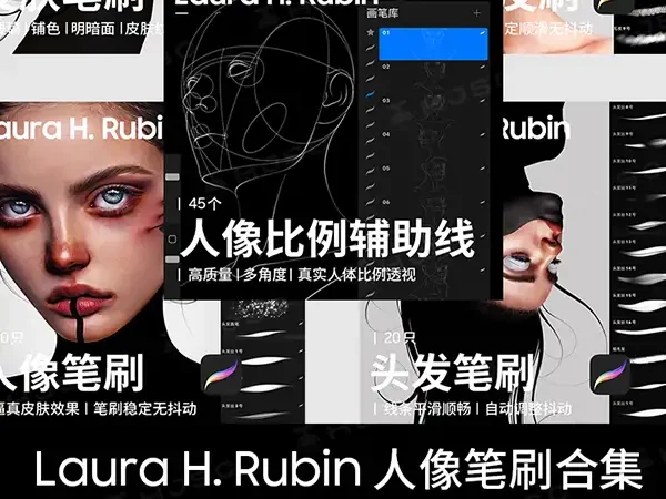 Laura H. Rubin全套人像皮肤头发色卡绘画procreate笔刷