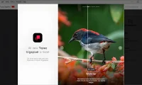 Topaz新一代图片无损放大软件 Topaz Gigapixel 1.0.7 中文破解版